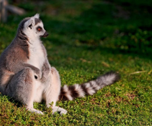 Текст о компании